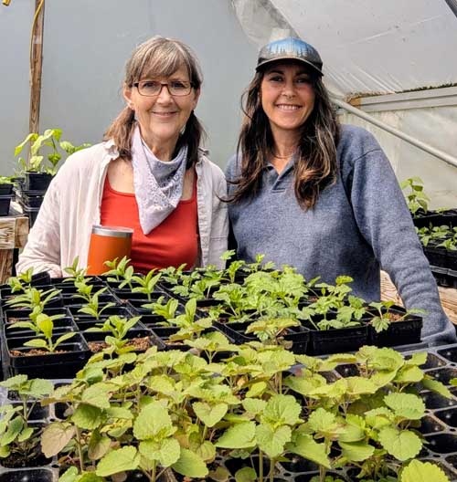 Nancy Graden of Red Clover Herbal Apothecary on the Apple River Farm Tour